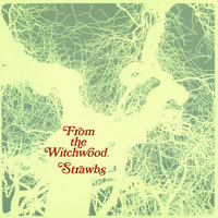 In Amongst The Roses - Strawbs