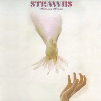 Out In The Cold - Strawbs
