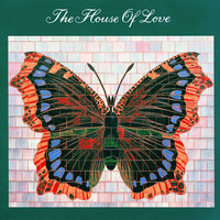 Shake And Crawl - The House Of Love