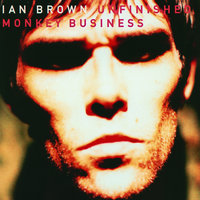 Ice Cold Cube - Ian Brown