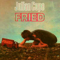 Search Party - Julian Cope