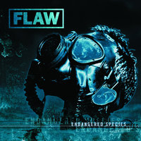 Recognize - Flaw