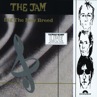 Big Bird - The Jam