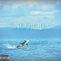 No Aqua - DDG