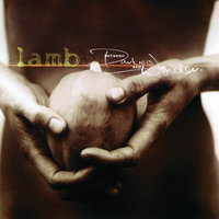 Sugar 5 - Lamb