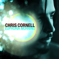 Disappearing One - Chris Cornell