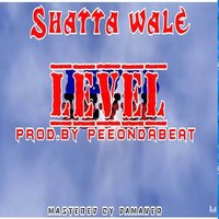 Level - Shatta Wale