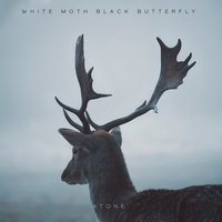 An Ocean Away - White Moth Black Butterfly