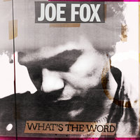 Night Walking - Joe Fox