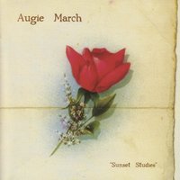 Tulip - Augie March