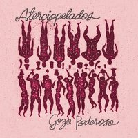 A Su Salud - Aterciopelados