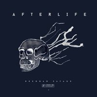 Afterlife - Brennan Savage