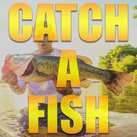 Catch a Fish - outlaw