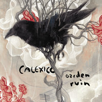 All Systems Red - Calexico