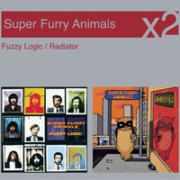 Fuzzy Birds - Super Furry Animals