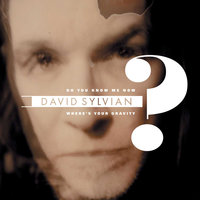 Do You Know Me Now? - David Sylvian