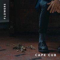 Flowers - Cape Cub