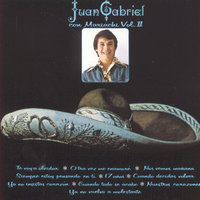 Cuando Decidas Volver - Juan Gabriel