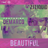 Beautiful - ZJ LIQUID, Demarco