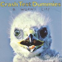 Overachievers - Crash Test Dummies