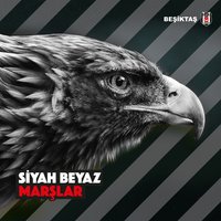 Beşiktaş Sensin Aşk - Hakan Altun