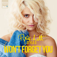 Won't Forget You - Pixie Lott, Stylo G