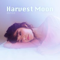 Harvest Moon - Mree