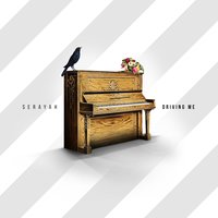 Driving Me - Serayah