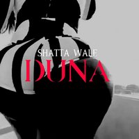 Duna - Shatta Wale