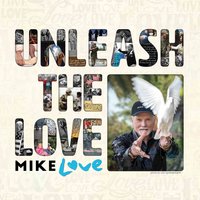 Wouldn't It Be Nice - Mike Love