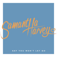 Say You Won't Let Go - Samantha Harvey