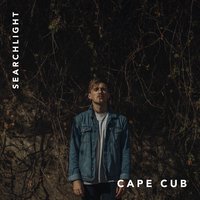 Searchlight - Cape Cub