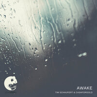 Awake - Tim Schaufert, Cashforgold