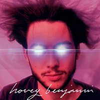 Too Much Bass - Hovey Benjamin
