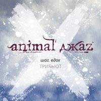 Двое - Animal ДжаZ, Yana Blinder