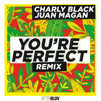 You're Perfect - Charly Black, Juan Magán