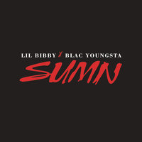 Sumn - Lil Bibby, Blac Youngsta