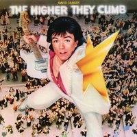 Love In Bloom - David Cassidy