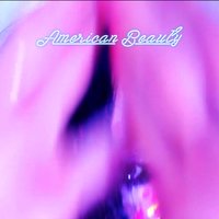 American Beauty - Knee High Fox