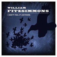 Heartless - William Fitzsimmons