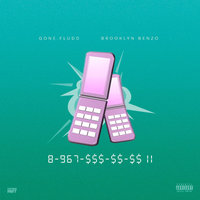 8-967-$$$-$$-$$ II - GONE.Fludd, Brooklyn Benzo