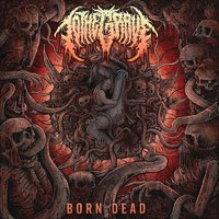 Born Dead - To the Grave