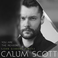 You Are The Reason - Calum Scott, John Gibbons