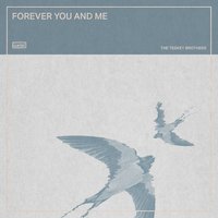 Forever You and Me - The Teskey Brothers