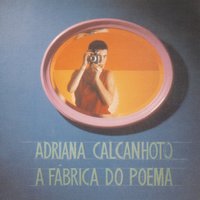 Aconteceu - Adriana Calcanhotto