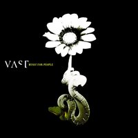 Song Without a Name - VAST
