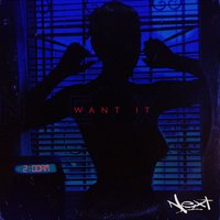 Want It - Next