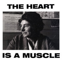 The Heart Is a Muscle - Gang of Youths