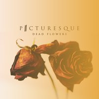 Dead Flowers - Picturesque