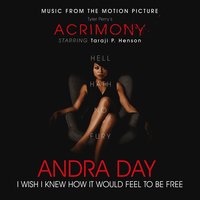 I Wish I Knew How It Would Feel to Be Free - Andra Day